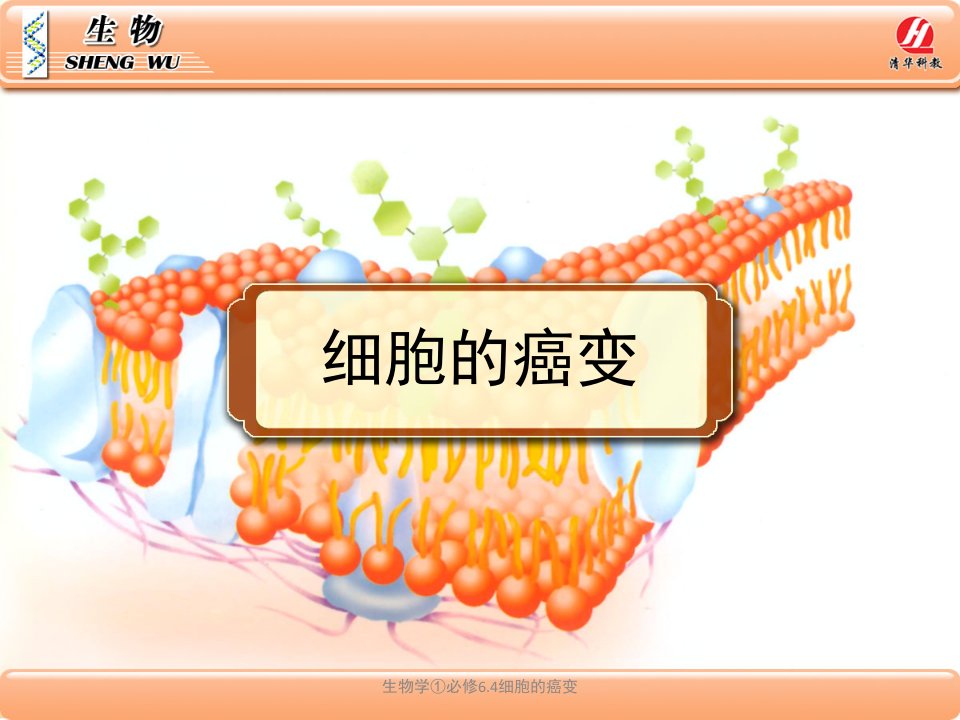 生物学必修6.4细胞的癌变课件