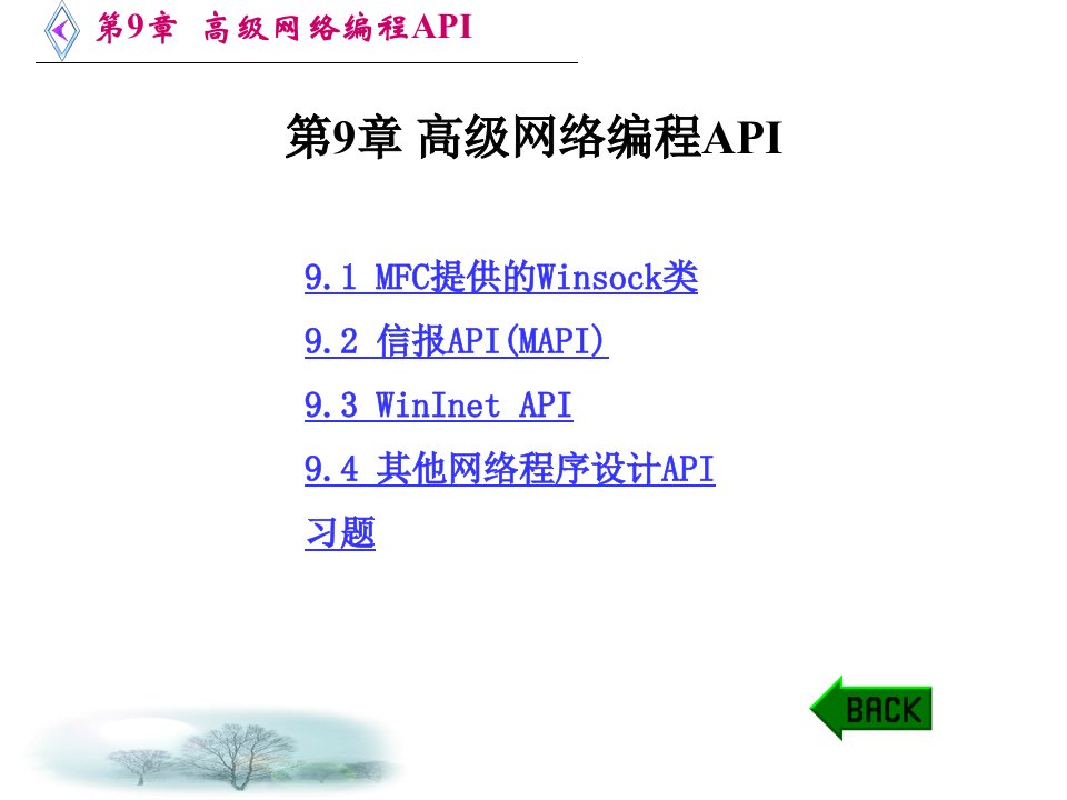 第9章 高级网络编程API