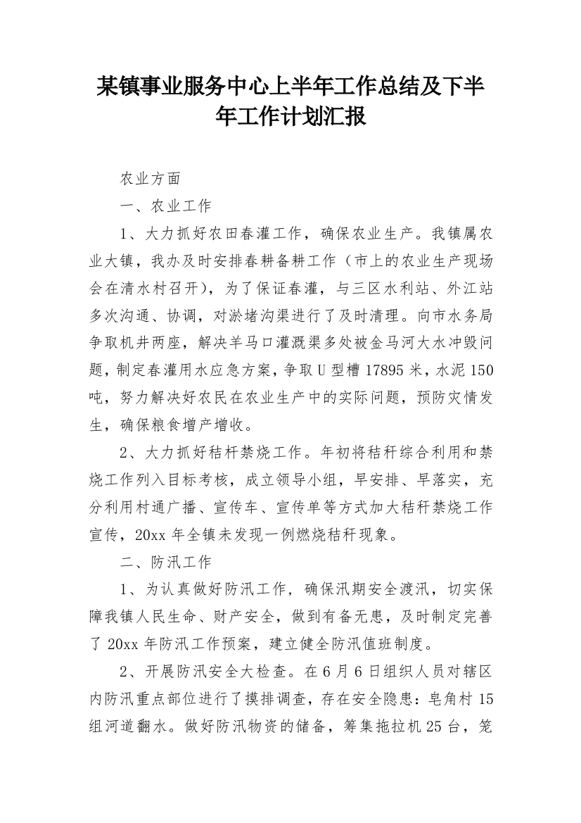 某镇事业服务中心上半年工作总结及下半年工作计划汇报