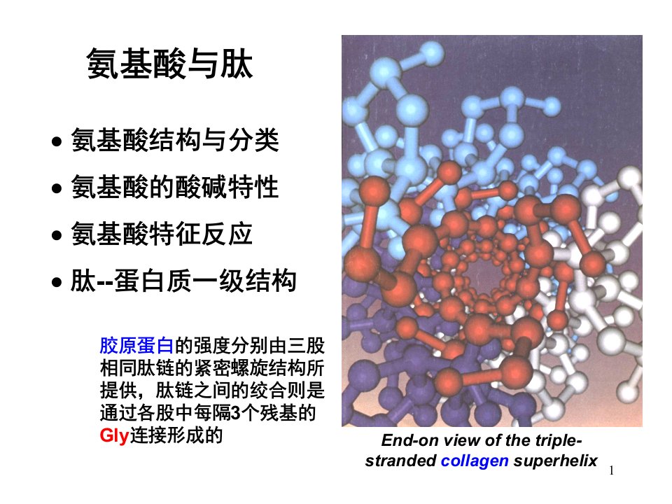 生物化学04氨基酸与肽