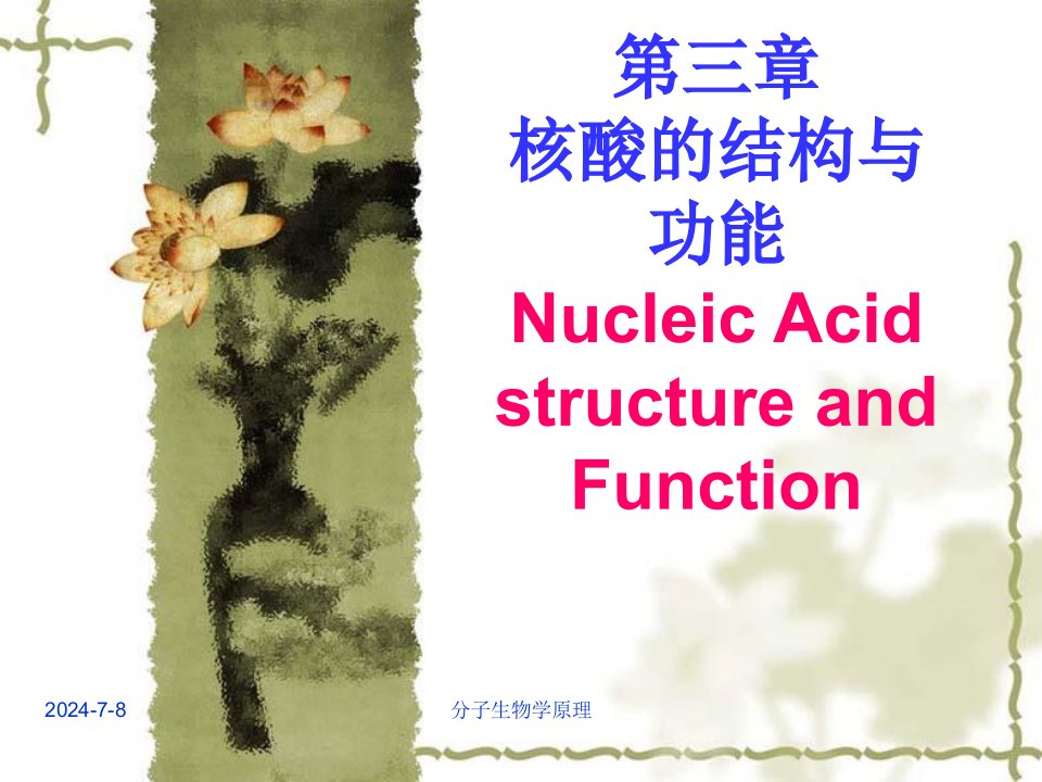 分子生物学原理-核酸结构与功能