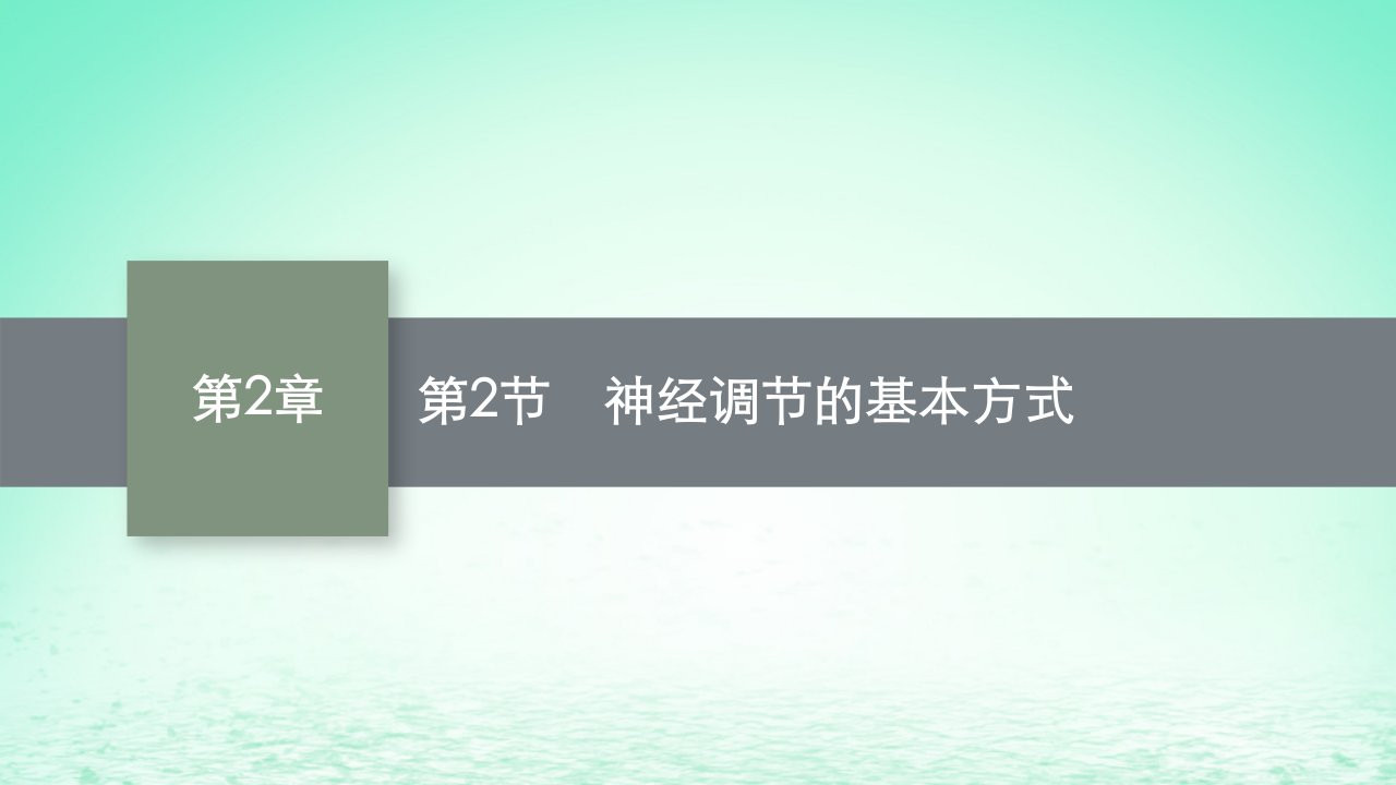 2022_2023学年新教材高中生物第2章神经调节第2节神经调节的基本方式课件新人教版选择性必修1