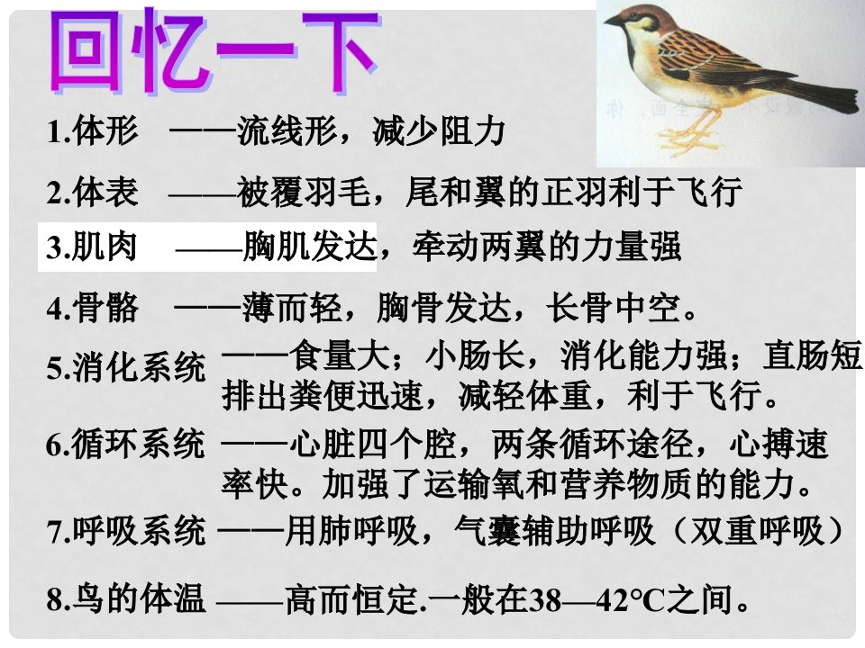 八年级生物上册