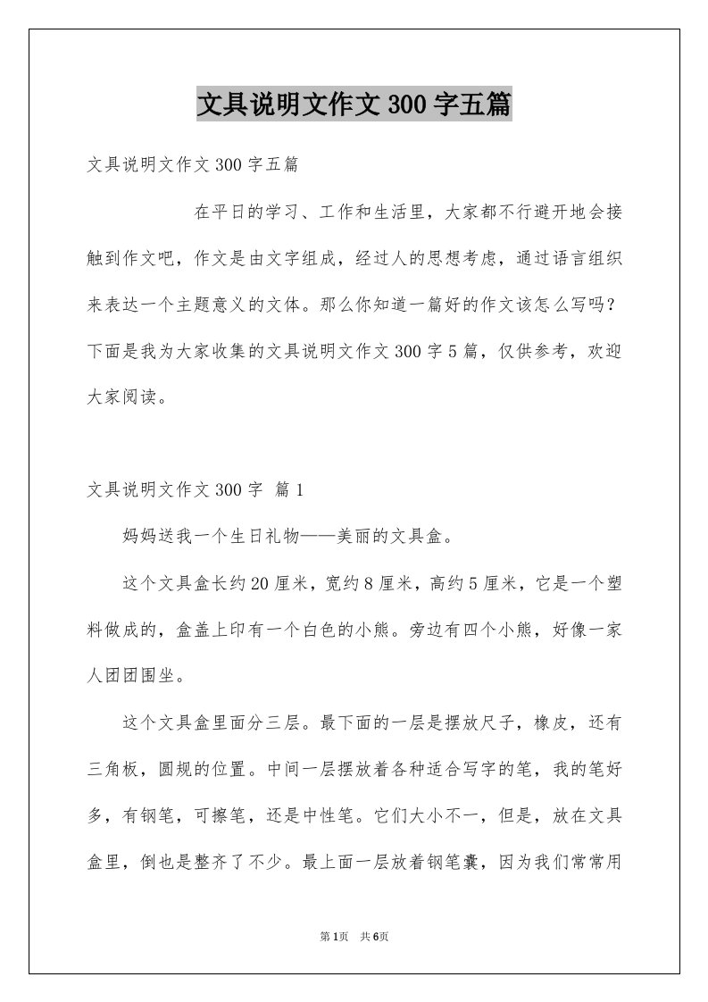 文具说明文作文300字五篇