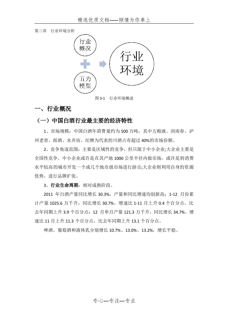 五粮液行业环境分析(共10页)