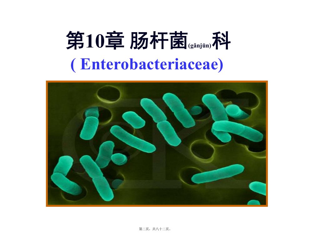 医学专题第10节.肠杆菌科