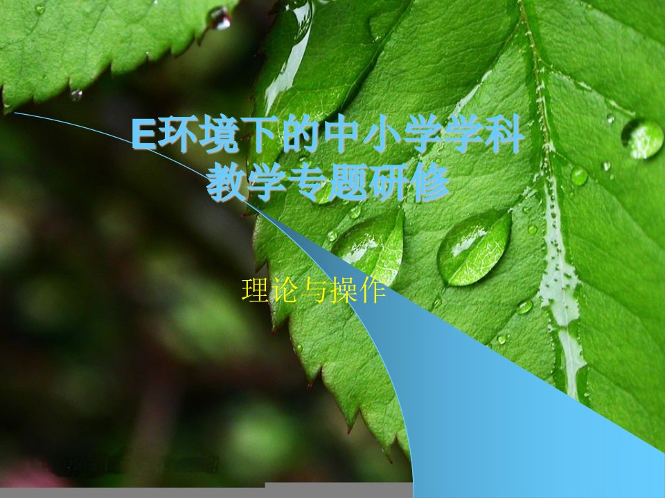 E环境下的中小学学科