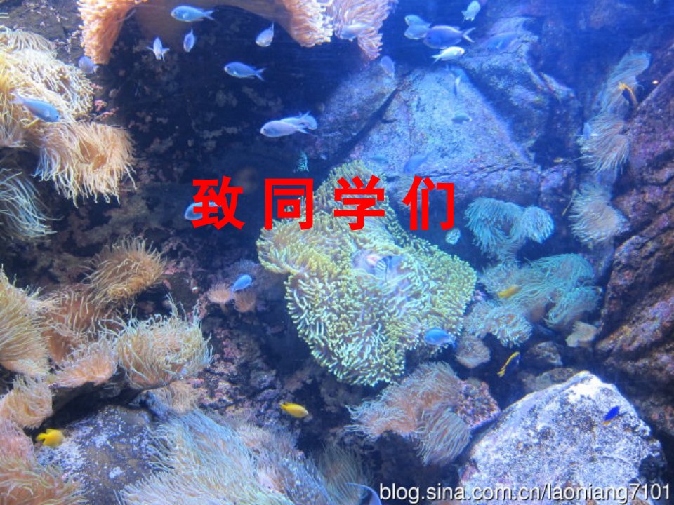 陕西省石泉县七年级生物上册《前言》教学课件1