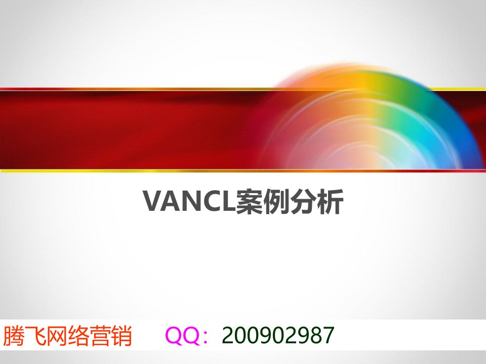 网络营销案例Vancl凡客诚品经典案例分析