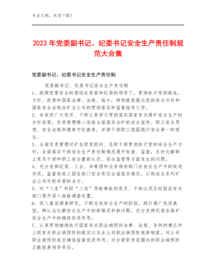 2023年党委副书记、纪委书记安全生产责任制规范大合集