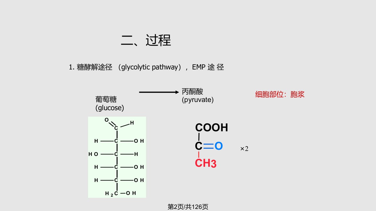 第八糖代谢学习