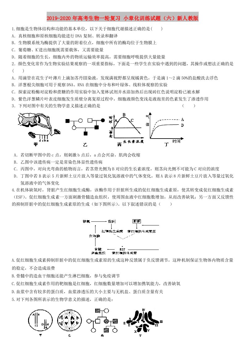 2019-2020年高考生物一轮复习