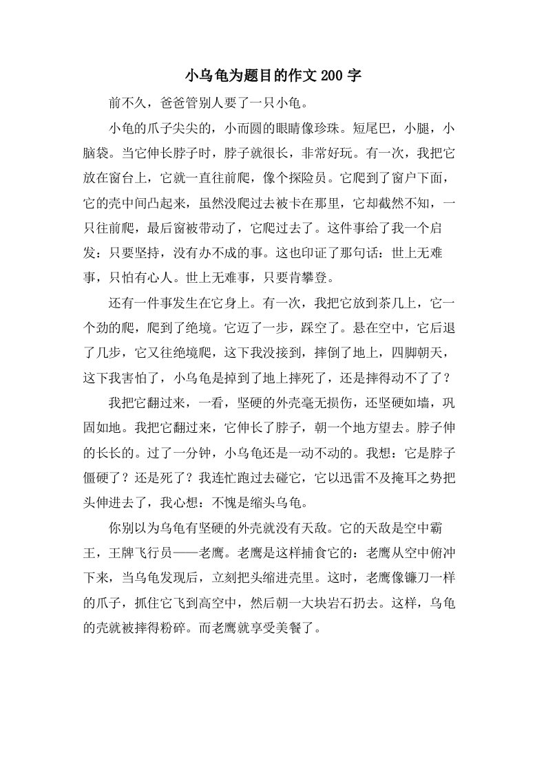 小乌龟为题目的作文200字