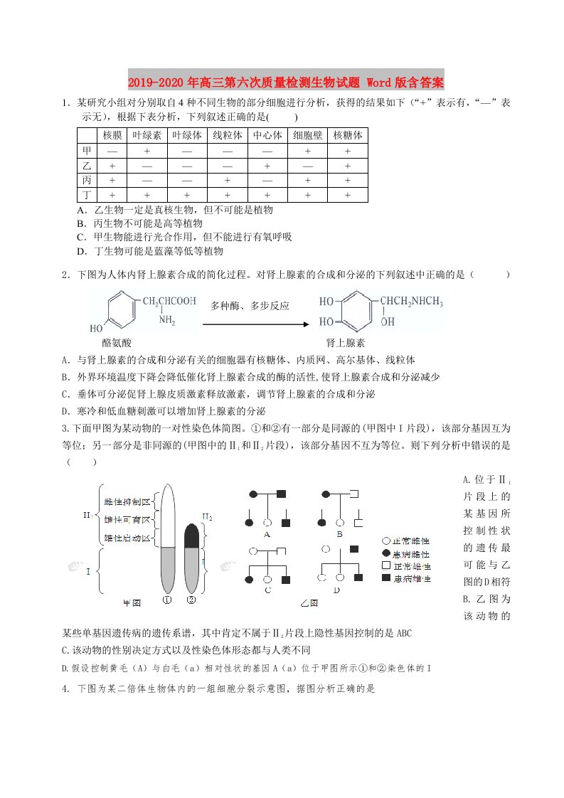 2019-2020年高三第六次质量检测生物试题