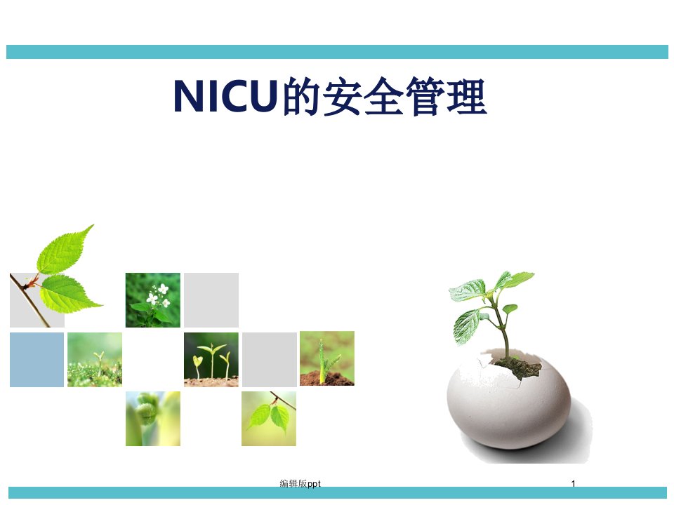 NICU安全管理ppt课件