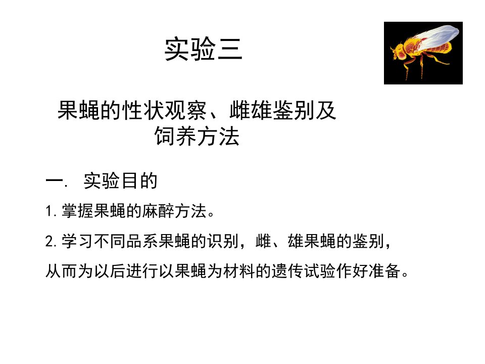 实验二果蝇的麻醉、主要性状观察和雌雄的鉴别