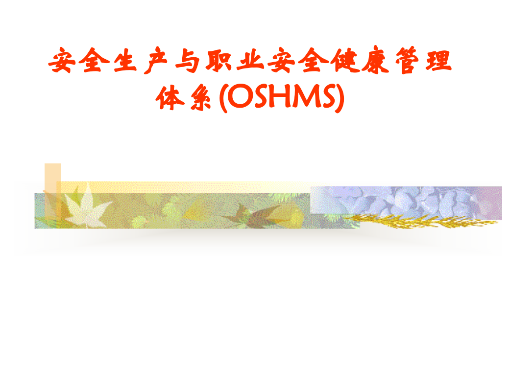 安全生产与职业安全健康管理体系oshms