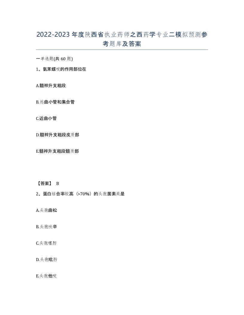 2022-2023年度陕西省执业药师之西药学专业二模拟预测参考题库及答案