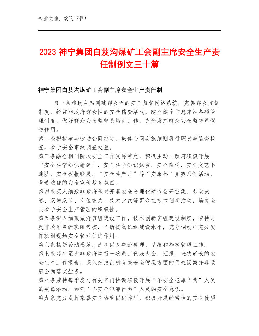 2023神宁集团白芨沟煤矿工会副主席安全生产责任制例文三十篇