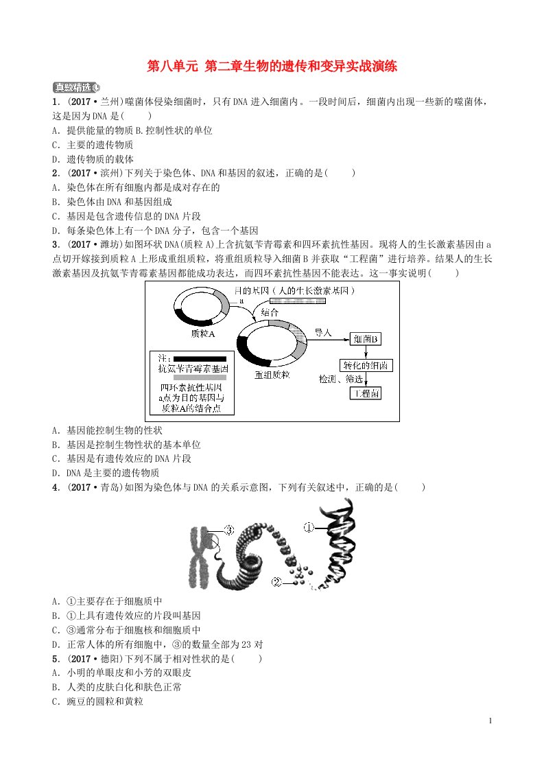 中考生物总复习