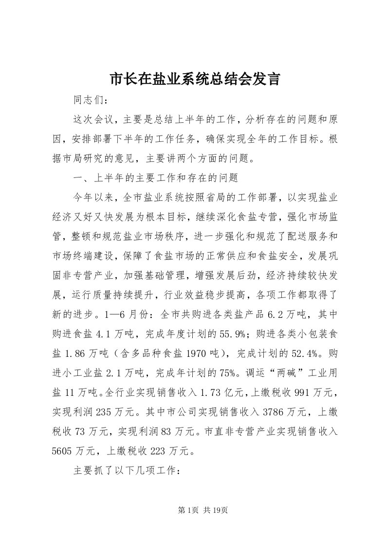 6市长在盐业系统总结会讲话