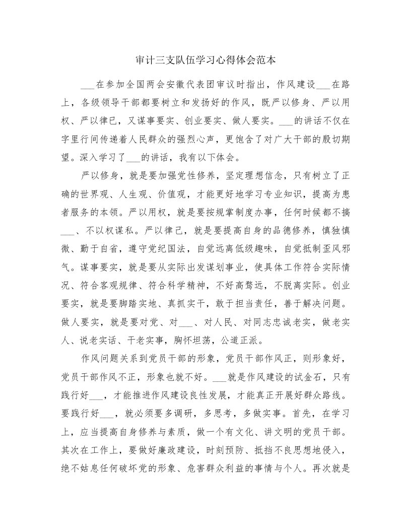 审计三支队伍学习心得体会范本