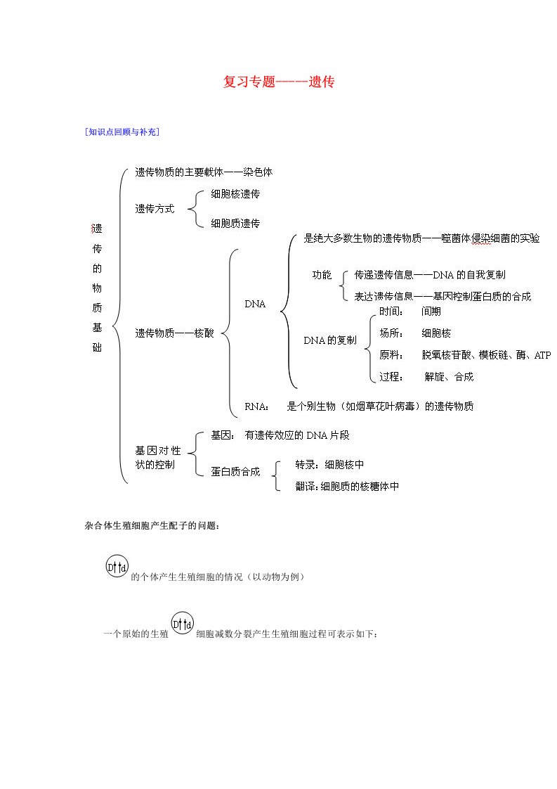 人教版教学教案高二生物复习专题-遗传