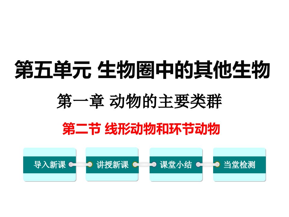 人教版初二生物上册《线形动物和环节动物》教学课件