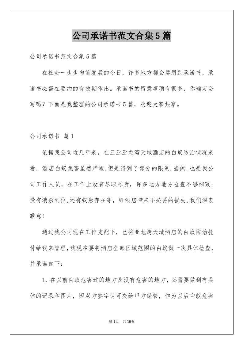 公司承诺书范文合集5篇