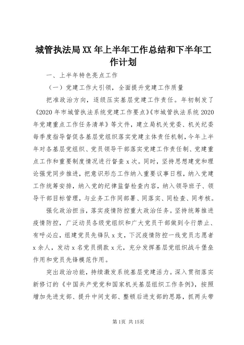 城管执法局某年上半年工作总结和下半年工作计划