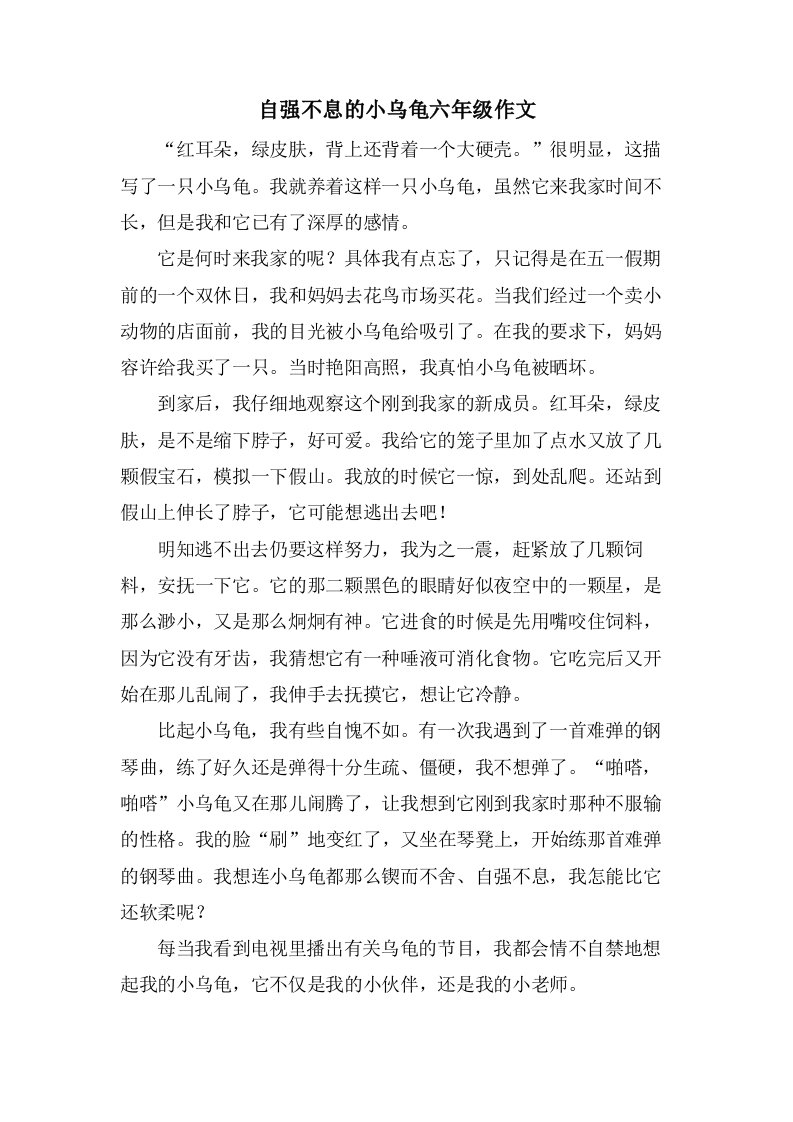 自强不息的小乌龟六年级作文