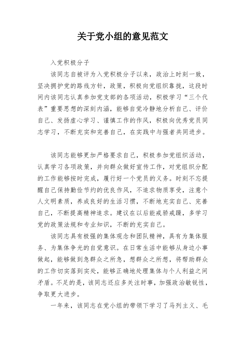 关于党小组的意见范文