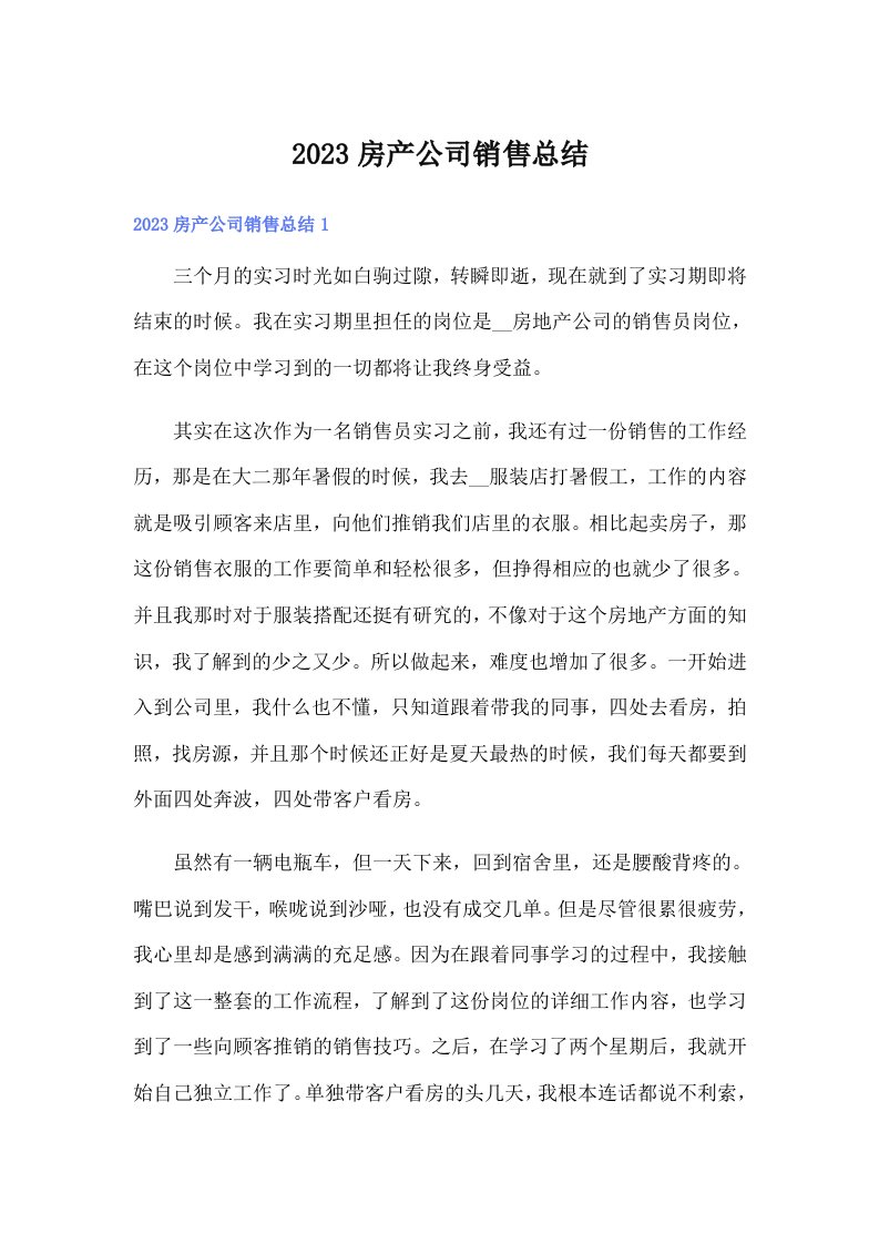 2023房产公司销售总结