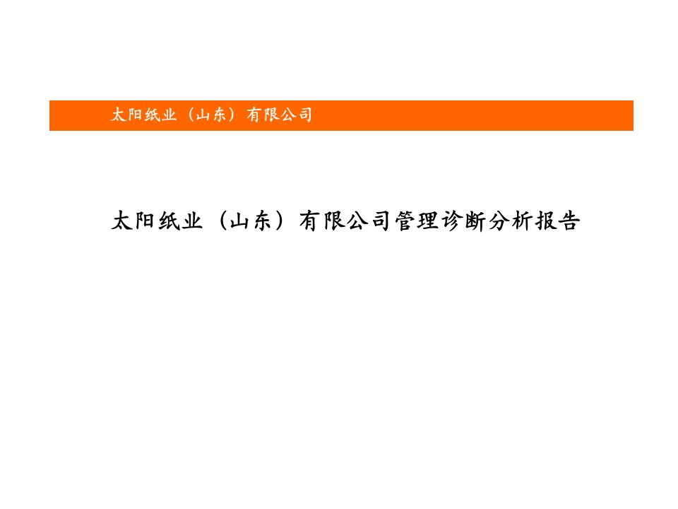 太阳纸业（山东）有限公司管理诊断分析报告