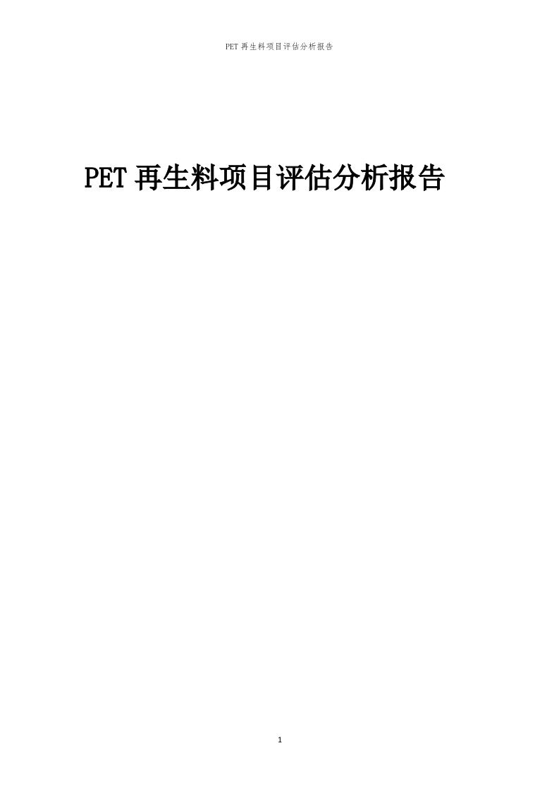 2023年PET再生料项目评估分析报告