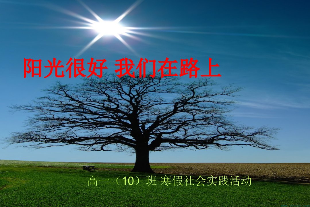 新昌中学高一10班寒假社会实践活动展示市公开课获奖课件省名师示范课获奖课件