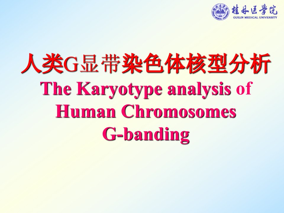 遗传学课件遗传学实验-人类染色体核型分析