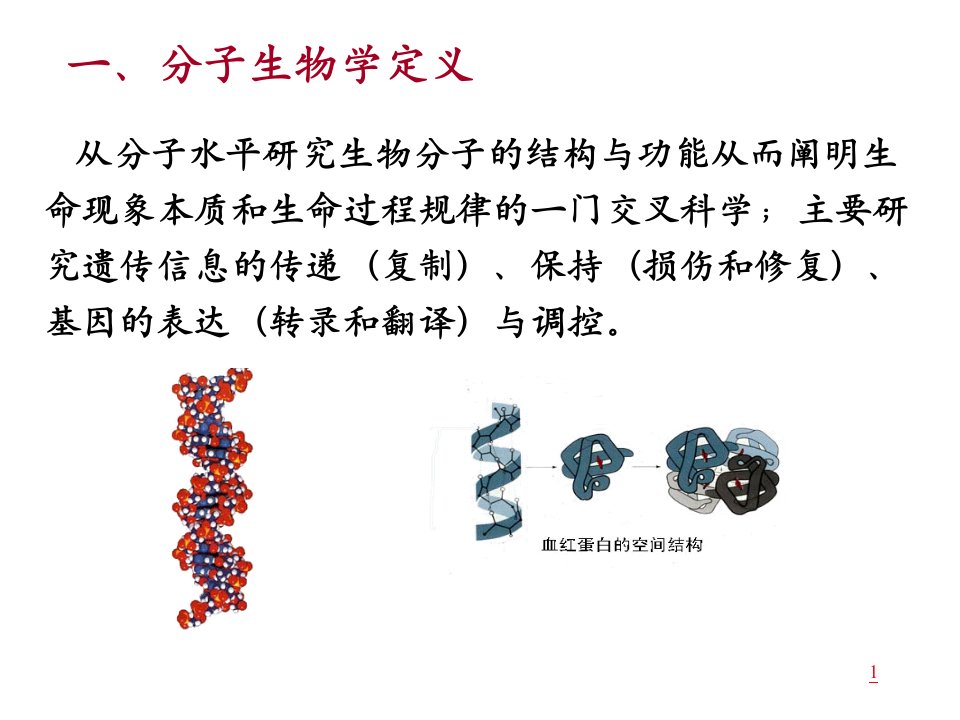 分子生物学概论-基因、基因组和基因组学课件