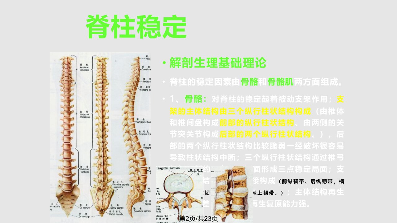 腰椎间盘突出症治疗适应症选择