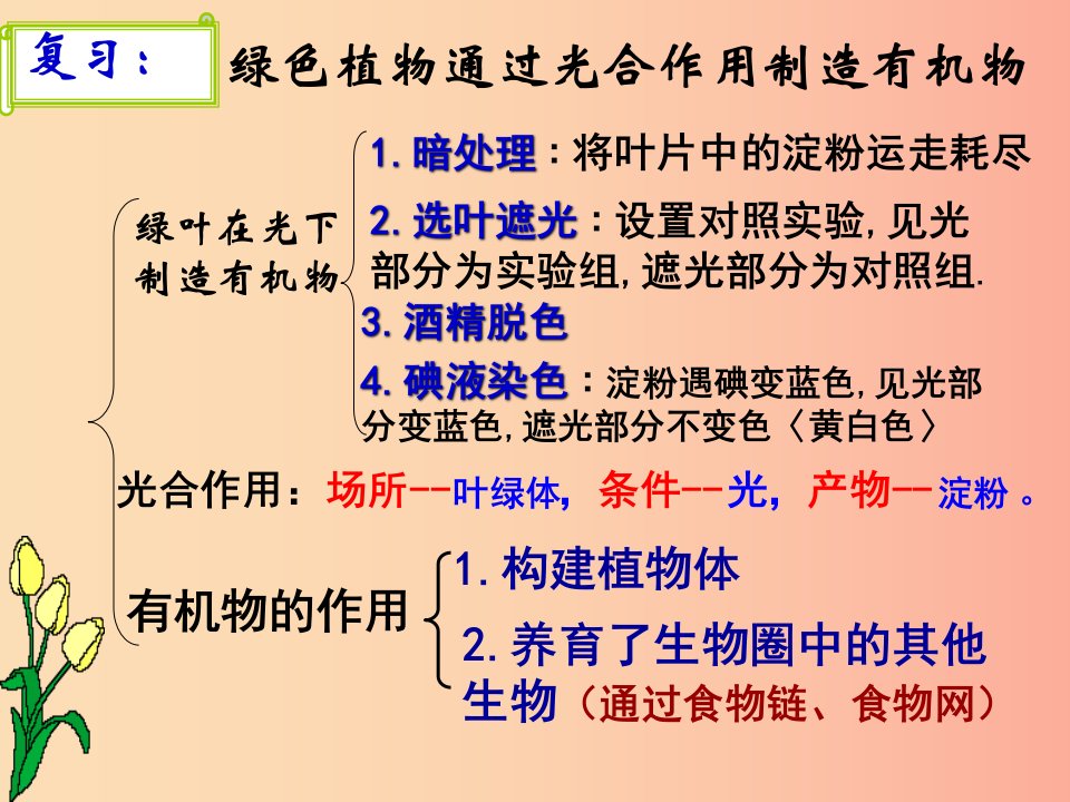 2019年七年级生物上册