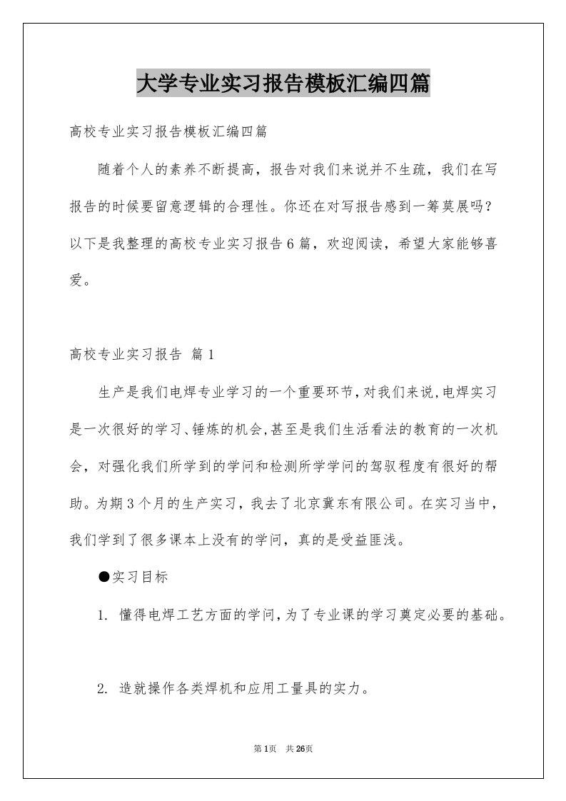 大学专业实习报告模板汇编四篇