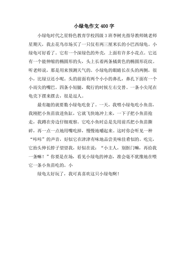 小绿龟作文400字