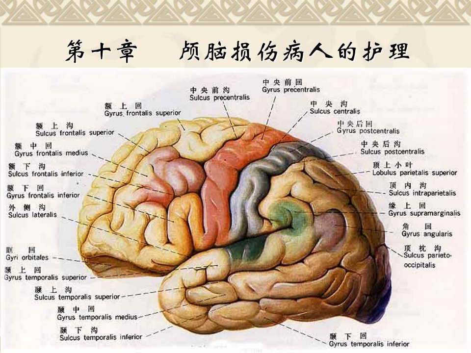 颅脑损伤病人的护理