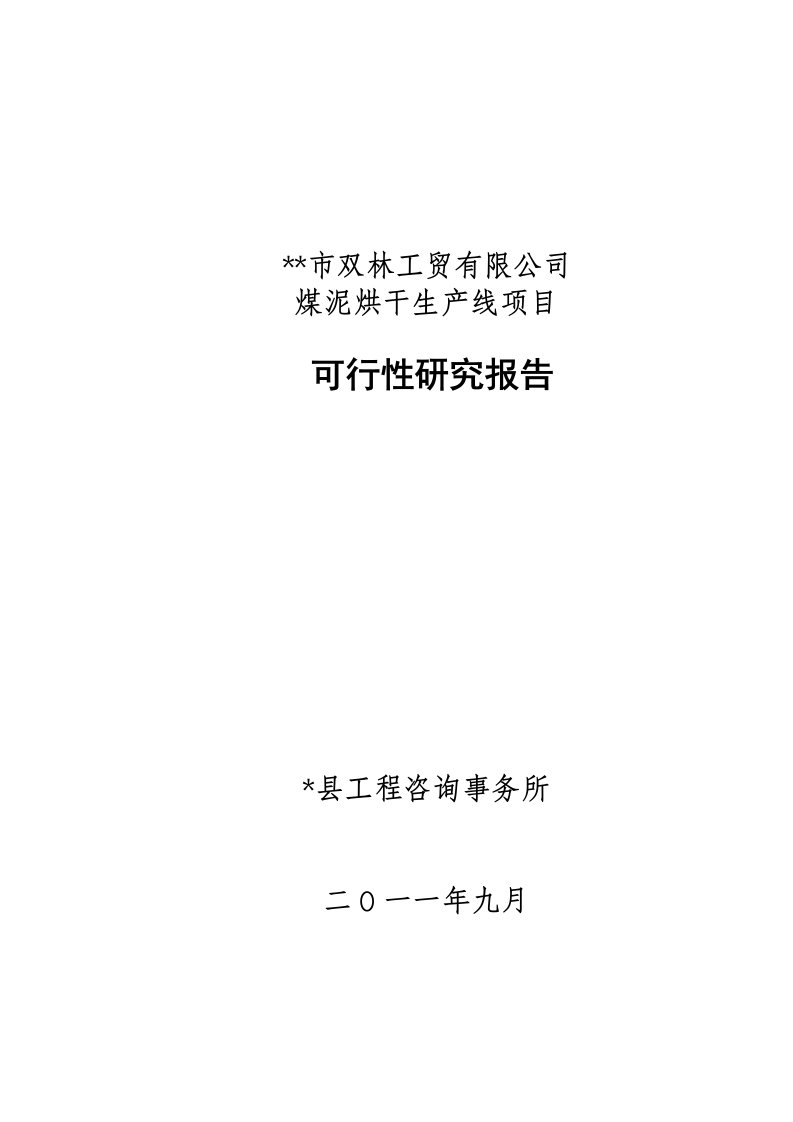 煤泥烘干生产线项目可行性研究报告