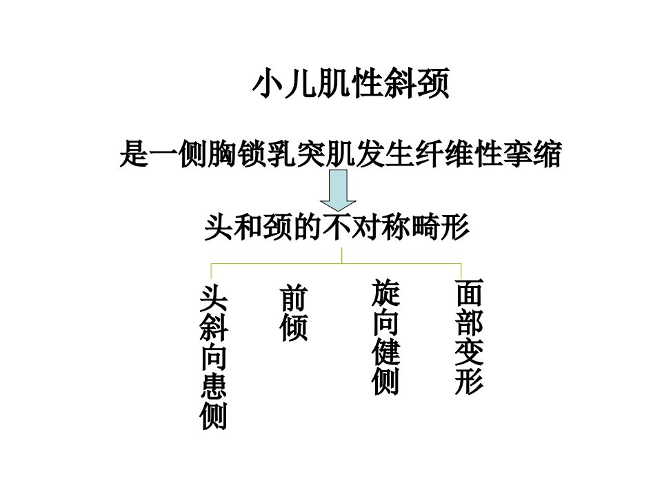 小儿斜颈ppt课件