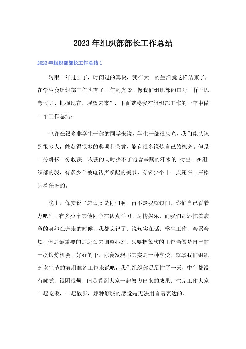 2023年组织部部长工作总结