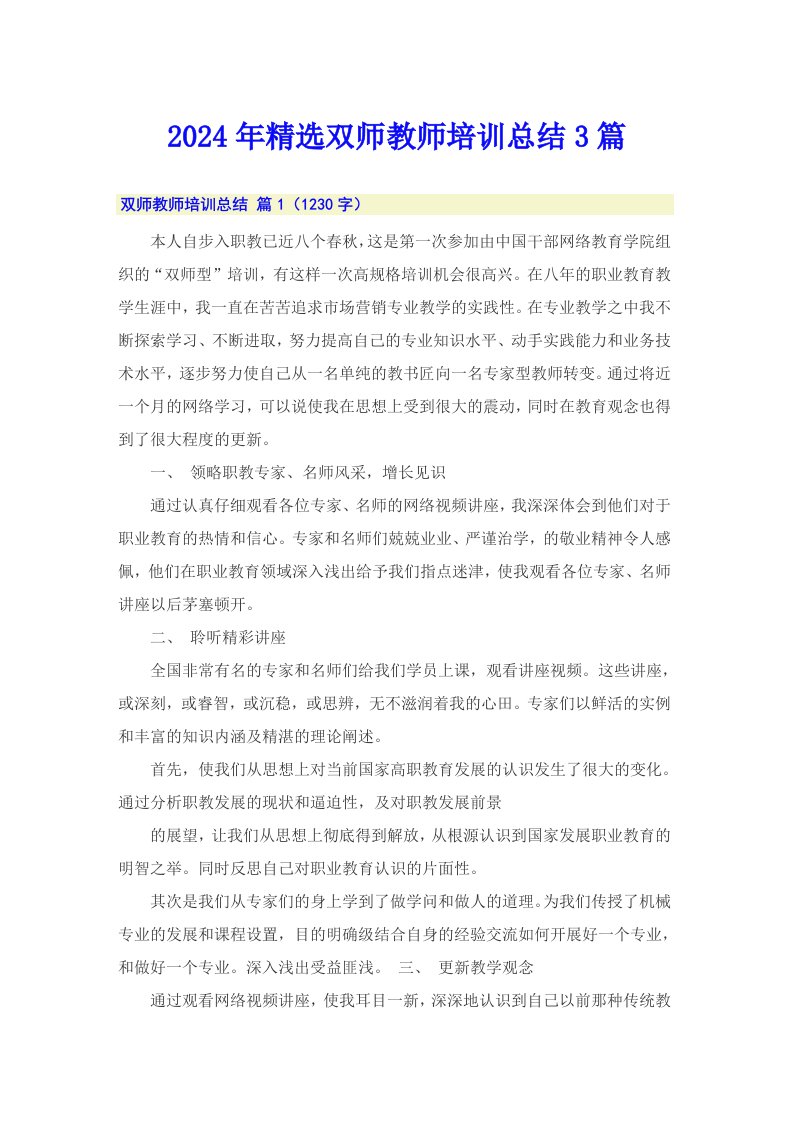 2024年精选双师教师培训总结3篇