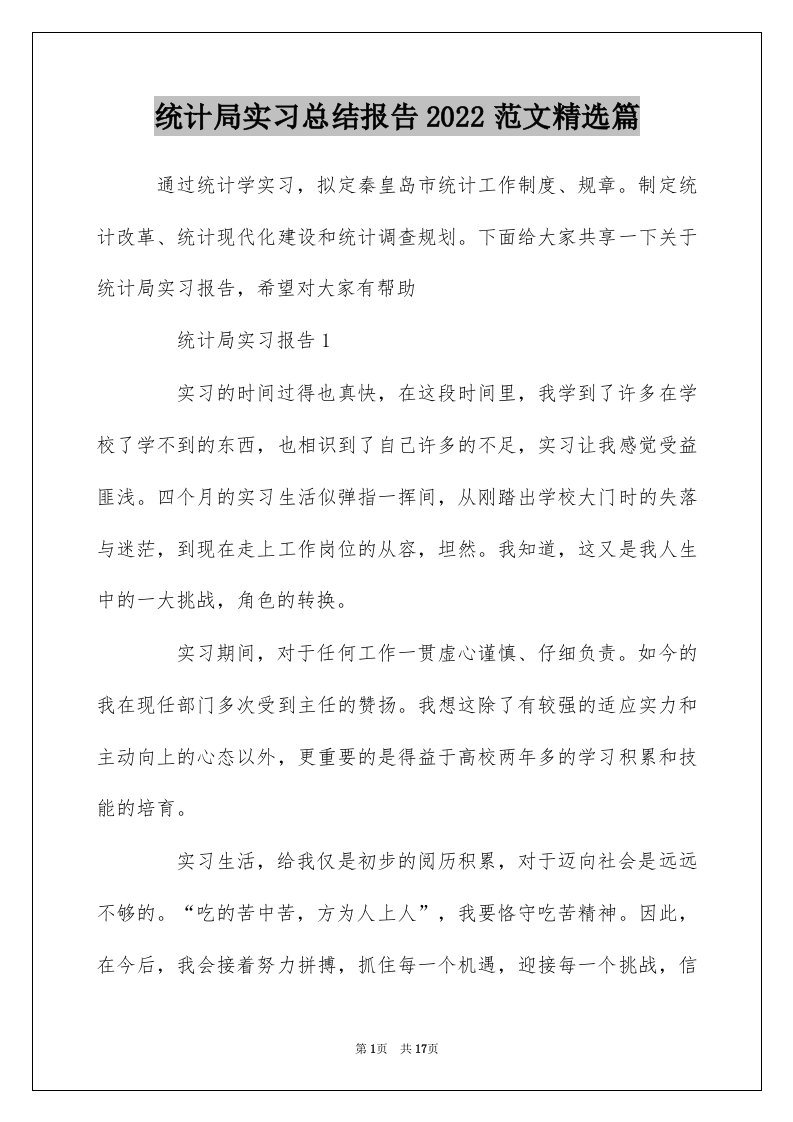 统计局实习总结报告2022范文精选篇