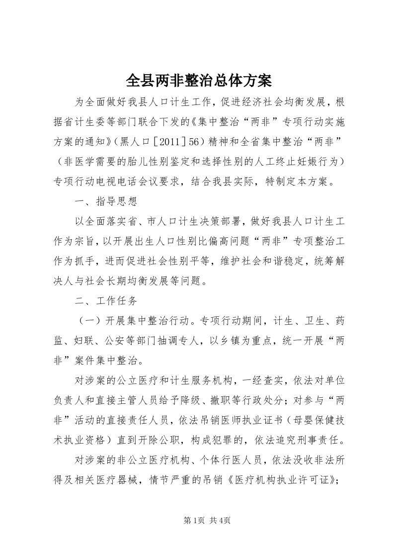 5全县两非整治总体方案