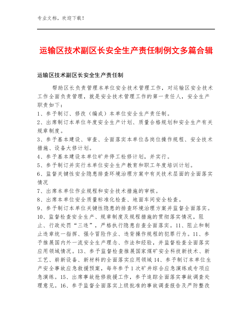 运输区技术副区长安全生产责任制例文多篇合辑